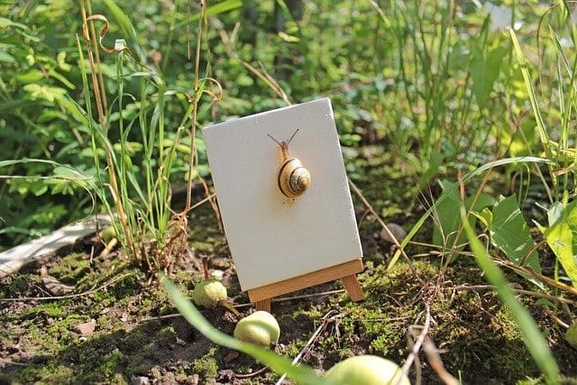 soportes y caballetes